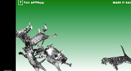 Cat Bounce