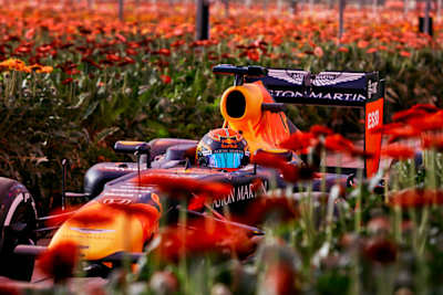 A Red Bull Racing F1 car inside a Dutch greenhouse