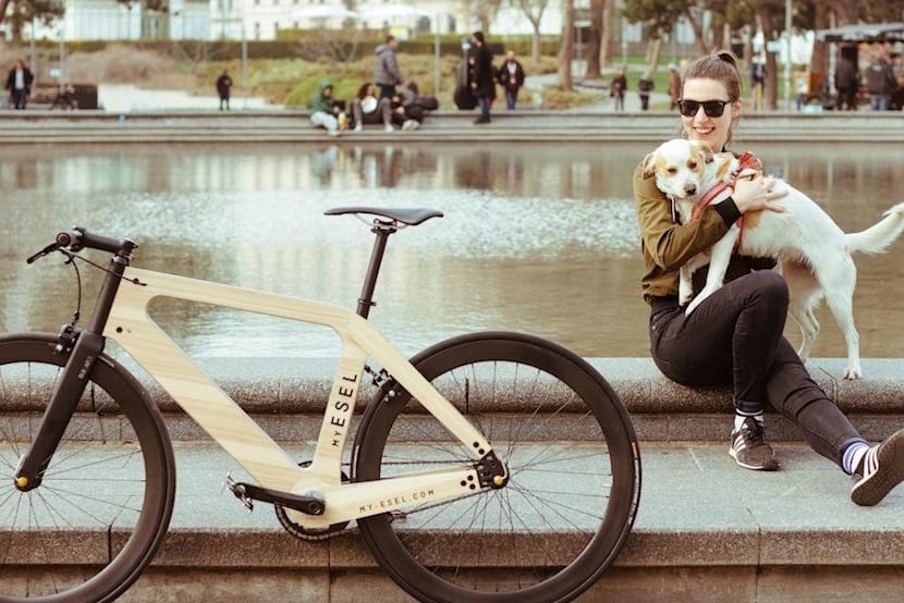 Bici madera