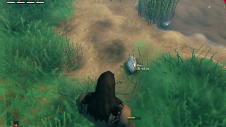 Voici une règle très importante à connaître en début de partie du jeu de viking Valheim : les silex se trouvent principalement proche d’un point d’eau.