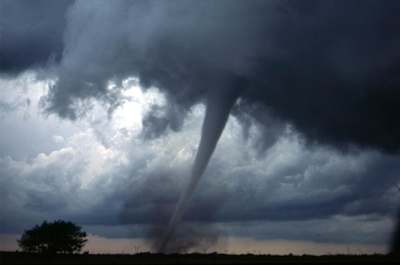 Tornado touches down next to a silhouetted tree on May 3, 1999, in central Oklahoma.