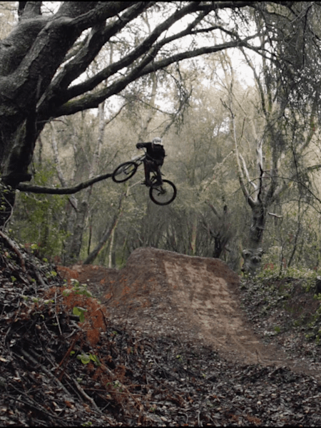 Raw 100: Rupert Walker