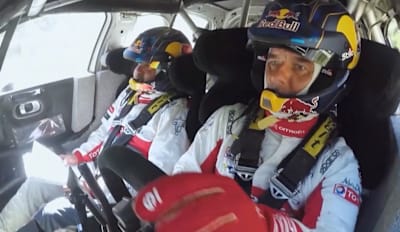 Loeb/Elena