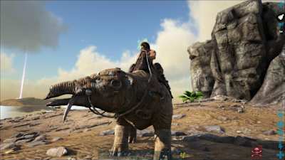 Forage for resources to level up