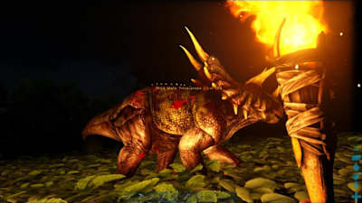 Teaming up makes taming easier