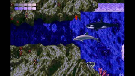 Ecco The Dolphin