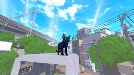 Erlebt die Welt aus den Augen einer Katze