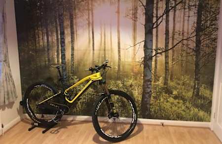 This facebook user wakes up every morning to the forest