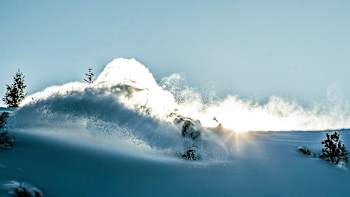 Grilo enjoying Austria's white gold