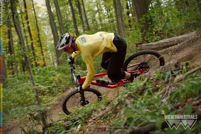 Mountainbiker fährt im Trail-Park Weidlingbach im WIENERWALD.
