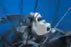 A close up of the brake calliper on Loic Bruni's Specialized MTB