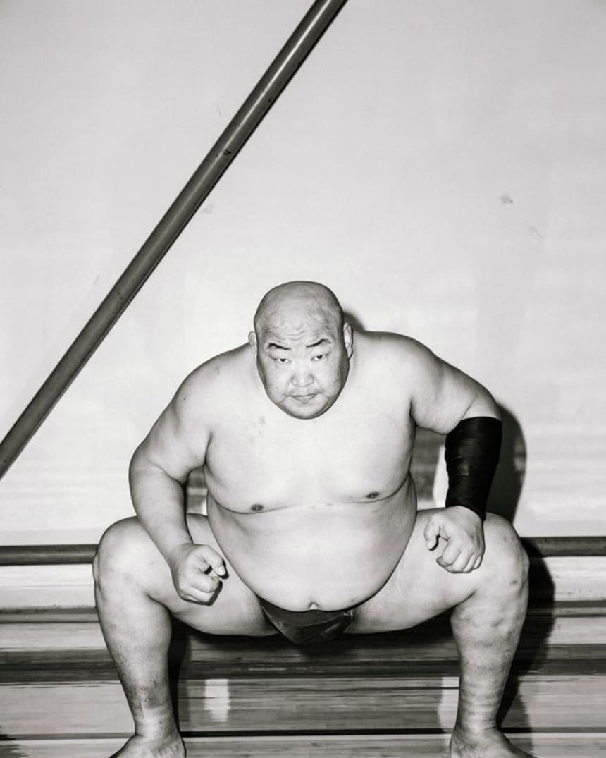 Sumo Wrestler Next To Normal Person
