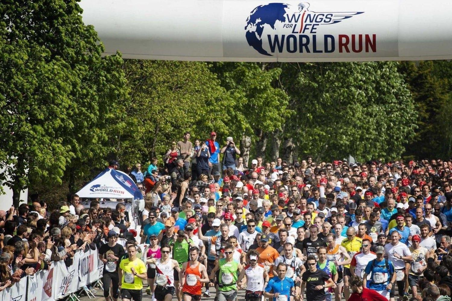 世界が同時に走るWings for Life World Run 日本上陸！