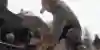 Learn to block to win fist fights