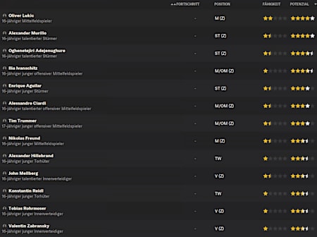 Eine gute Jugendakademie mit vielen guten Talenten ist Basis des Erfolgs.