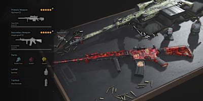 Sniper AX-50 und M4A1 mit Perks