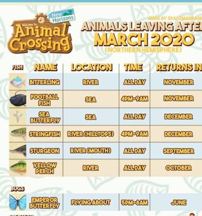 Animal Crossing New Horizons: 30 Tipps fr Einsteiger
