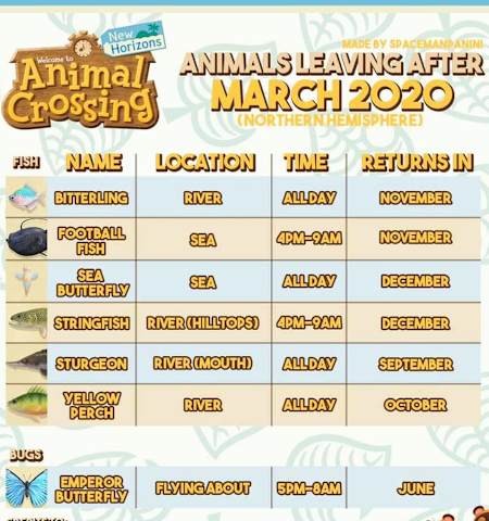 Für Sammler wichtig: Diese Fische und Käfer gibt es im April nicht mehr!