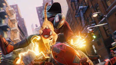 スパイダーキャットのスピンオフの可能性は？