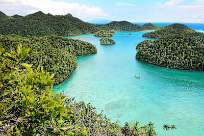 Raja Ampat islands covered in trees with turquoise ocean.