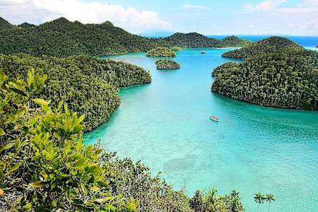 Raja Ampat islands covered in trees with turquoise ocean.
