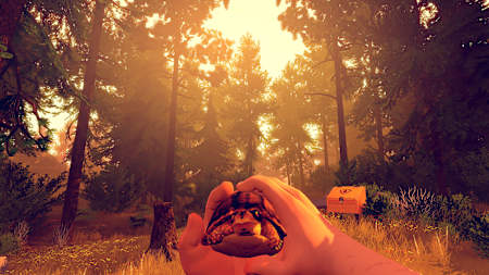 A screenshot from the indie video game Firewatch.