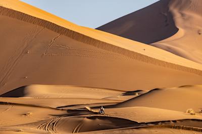 Toby Price is seen at the 5th stage of the Rally Du Maroc 2023 in Merzouga, Morocco on October 18, 2023.