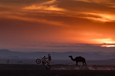 Matthias Walkner from Red Bull KTM Factory Racing performs in Merzougha, Morocco on October 9, 2023.