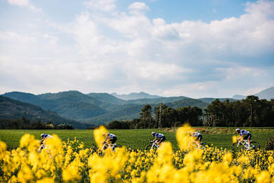Pedaling through postcard landscapes