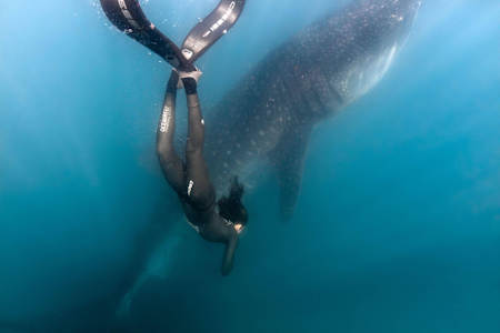 “You go deeper and it gets darker..."