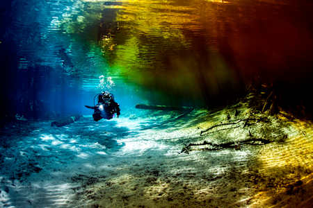 Cave diver Jill Heinerth explores the Santa Fe River in northern Florida, USA, which is dyed brown by tannic acid released by decaying trees.