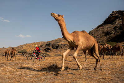 Rene Wildhaber durante o Red Bull Chasing Camel Trails em Salalah, Omã, a 5 de dezembro de 2017.