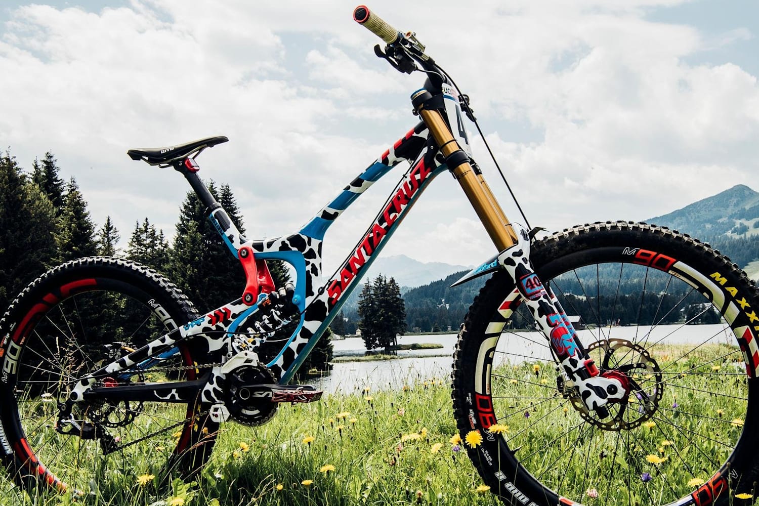 Photos Of Steve Peats Custom Cow Paint Santa Cruz V 10