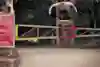 Max Garson ollie into the green bank in Yangon, Myanmar.