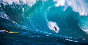 Jaws store big wave