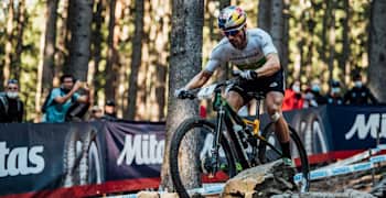 Xcc xco outlet