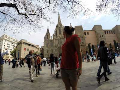 Relaxing to gather strength for next season