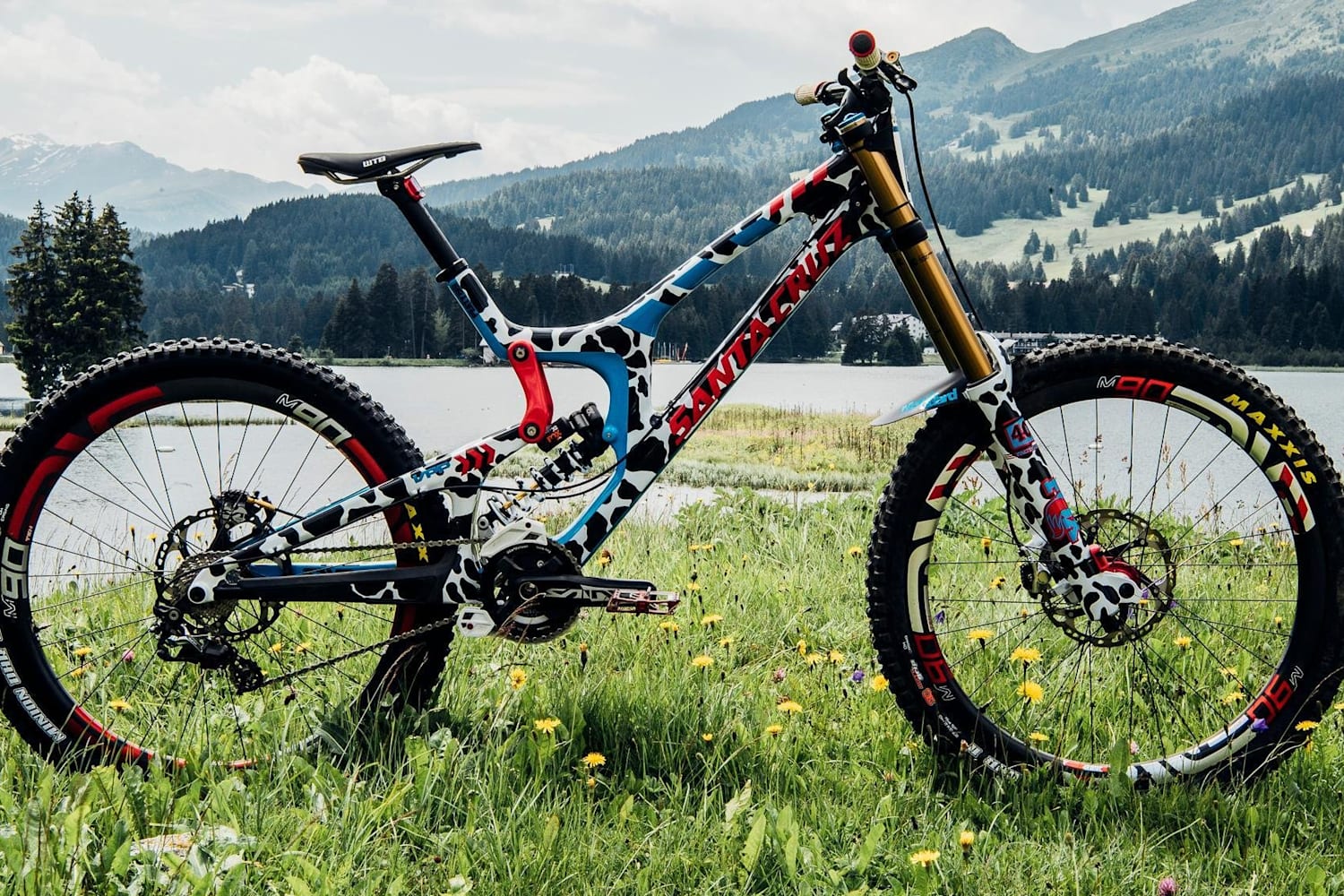 Choose The Perfect Mountain Bike For Your Mountain Biking Adventure