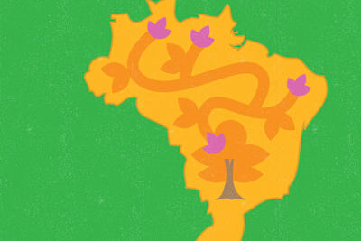 An illustration depicting tree roots taking hold across a map of Brazil.