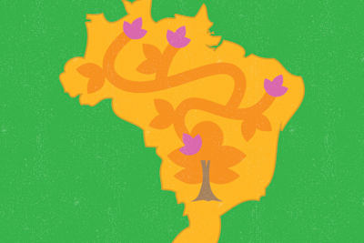 An illustration depicting tree roots taking hold across a map of Brazil.
