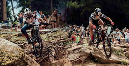 Uzun vadeli bir bisiklet arıyorsan kullanım amacına uygunluğuna dikkat et