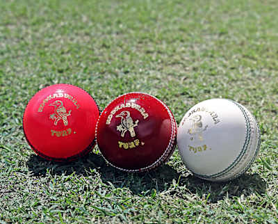 The pink, red and white Kookaburra cricket balls.