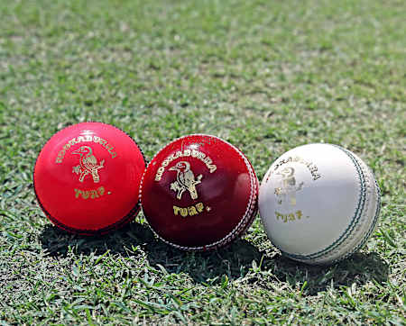 The pink, red and white Kookaburra cricket balls.