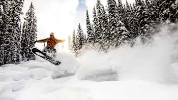 Travis Rice Pillow Talk in British Columbia Art