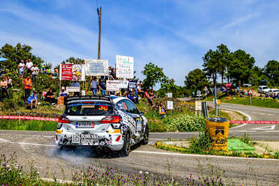 Ville Vatanen