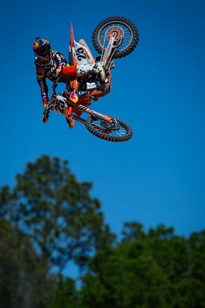 Whip training