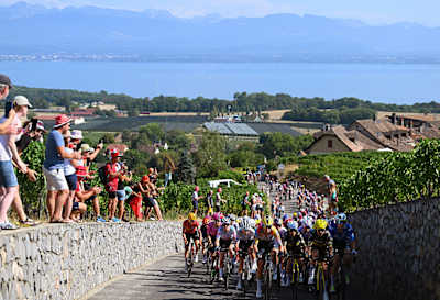 Wide shot of the Tour de France Femmes peloton climbing an incline past grape vines in Switzerland, heading towards Geneva on stage 2 of the 2026 race.