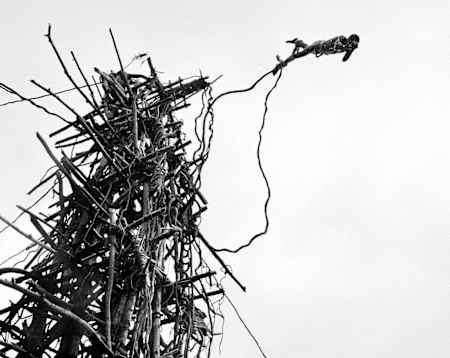 Saut traditionnel Pentecost Island, Vanuatu