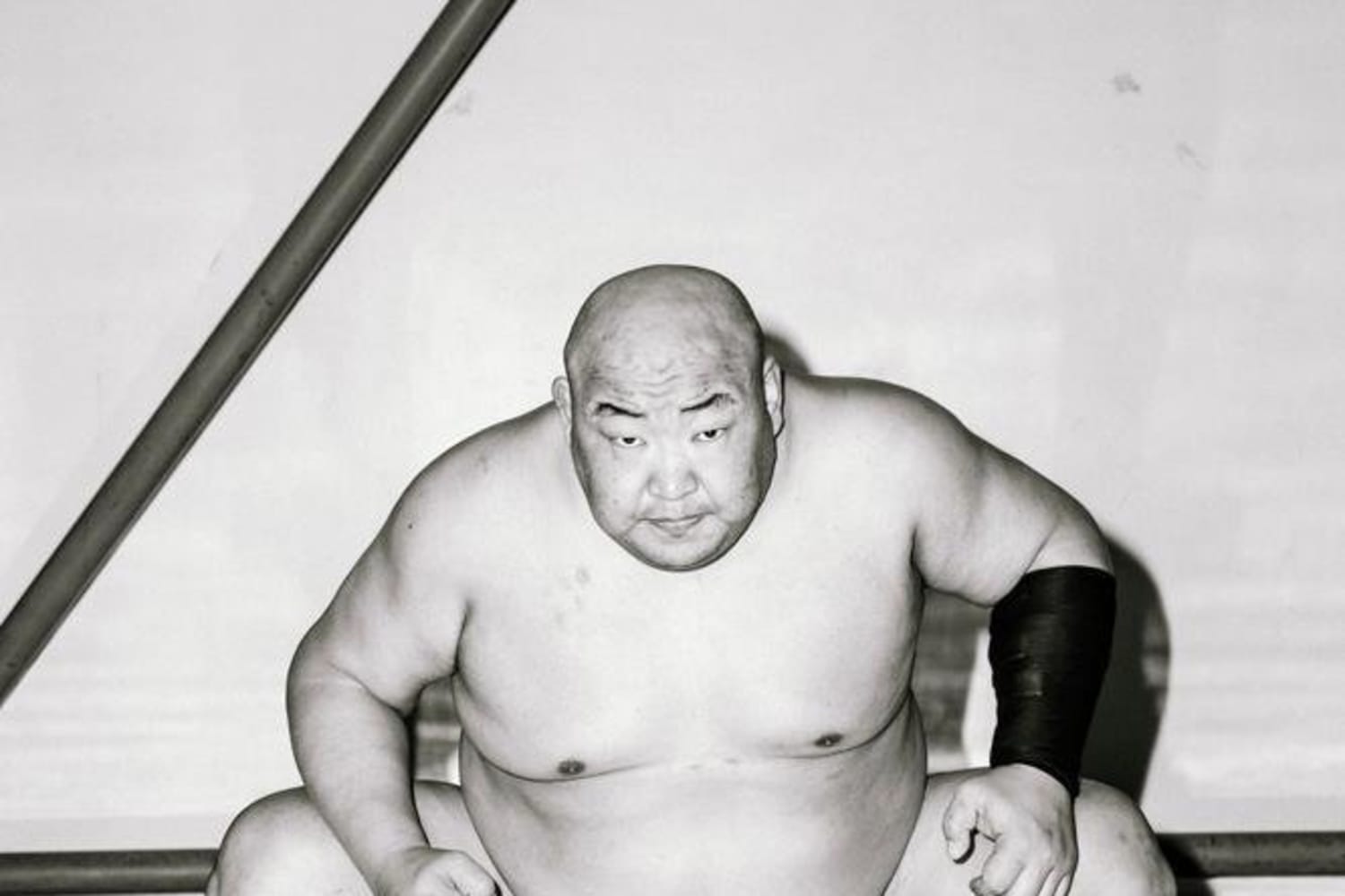 Us Sumo Open Meet The Sumo Wrestlers Competing In 2019
