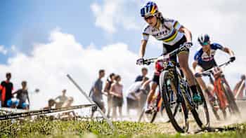 Wc xco 2019 store